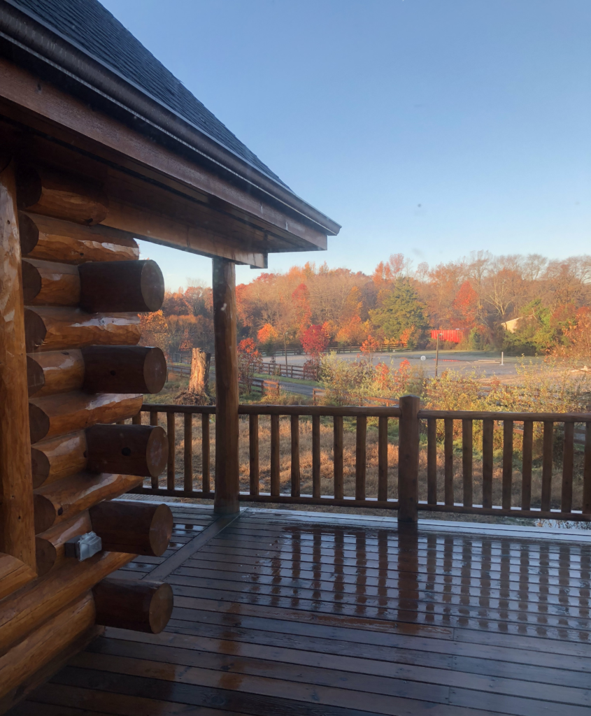 On the deck, looking out on the arena surrounded by fall foliage